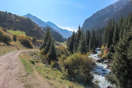 A winding dirt road runs alongside a fast-moving river in a forested mountain valley, with tall pine trees and distant mountain peaks under a clear blue sky.