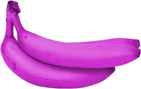 What now for Democrats and Republicans? The Purple Banana What now for Democrats and Republicans? The Purple Banana
