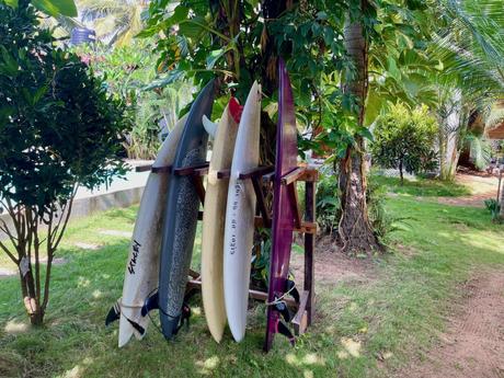 A set of surfboards leaning against a wooden rack in a lush garden surrounded by trees and greenery, with palm trees and a bright, tropical setting.