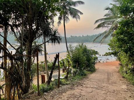 A dirt path leading down to the sea, framed by palm trees and thick tropical vegetation, with the ocean visible in the distance.