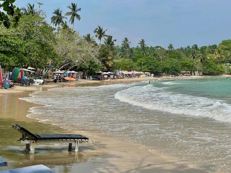 A beach scene with surfboards and beach chairs lined up, people enjoying the water, and palm trees in the background.