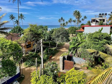 A tropical view of a beachfront from a rooftop, with a clear blue sky, coconut trees, and scattered houses in a beachside village.