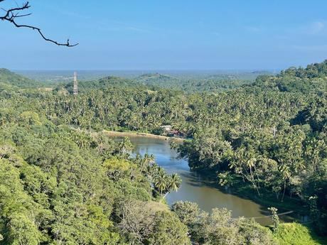 A scenic view of a river surrounded by dense tropical forest, with a glimpse of the ocean in the far distance.