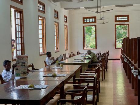 A quiet library reading room with long tables and chairs, where several people sit reading newspapers under the natural light from tall windows.