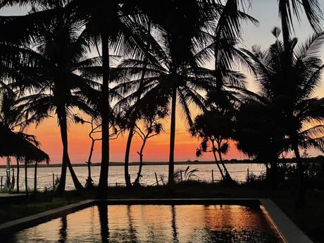 A silhouette of palm trees against the backdrop of a sunset sky, with the reflection of the trees visible in a nearby pool.