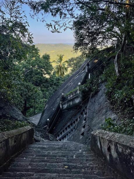 A view down a steep set of stone steps flanked by dense greenery, leading to a hidden temple amidst the trees.