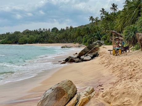 A quiet beach scene with thatched huts and large rocks along the sandy shore, backed by dense palm trees.