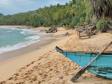 An empty, tranquil beach with a traditional blue fishing boat and palm trees lining the shore.