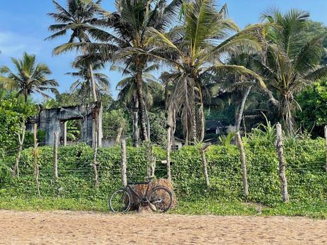 A simple beach fence covered in lush greenery with palm trees and a rusted bicycle leaning against it. In the background, there is a dilapidated building surrounded by tropical vegetation.