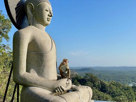 A large stone Buddha statue with a small monkey sitting at its base, against a backdrop of lush green forest and a clear blue sky.