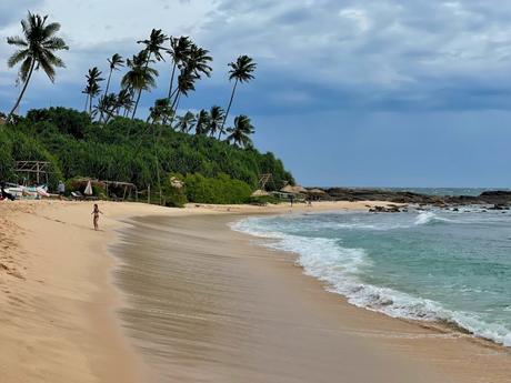 A wide beach with gentle waves, a person walking along the shore, and tall leaning palm trees in the background.