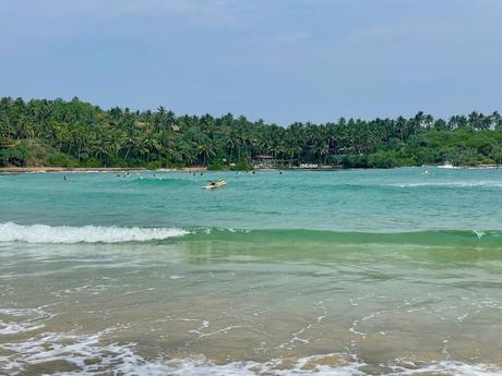 Hiriketiya beach with turquoise water, surfers in the distance, and palm trees lining the shore.