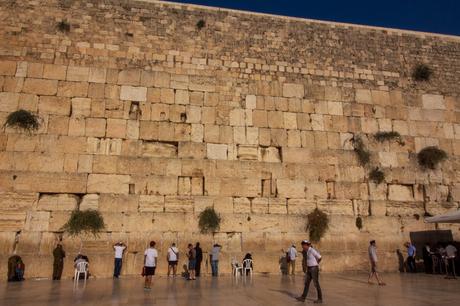 Wide shot of the Western Wall, showing people praying or walking around the plaza. The towering stone wall is central, with small plants growing between the cracks.