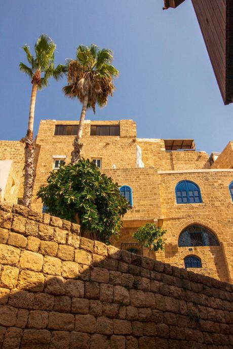 Two tall palm trees rise above a stone building in Jaffa, Israel, with arched windows painted bright blue. The clear blue sky frames the scene, highlighting the rustic architecture.