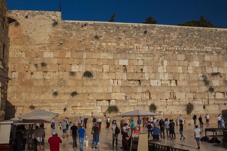 Image of the Western Wall (Wailing Wall) in Jerusalem, with people standing in front, some praying and others walking by. The large limestone wall is partially covered in small shrubs growing between the stones.