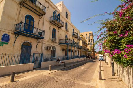 A quiet, narrow street lined with old stone buildings featuring blue shutters and doors in Jaffa, Israel, with pink bougainvillea climbing the walls and a person sitting in the shade.