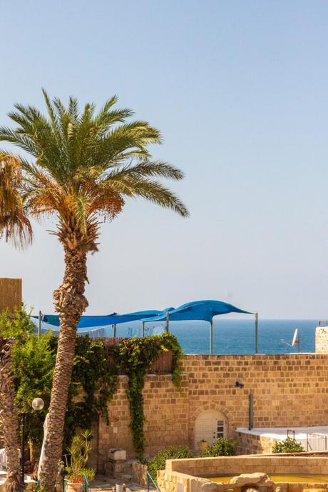 A tall palm tree and stone buildings in front of the Mediterranean Sea, with blue shade structures along the shoreline, giving a serene beachside atmosphere.