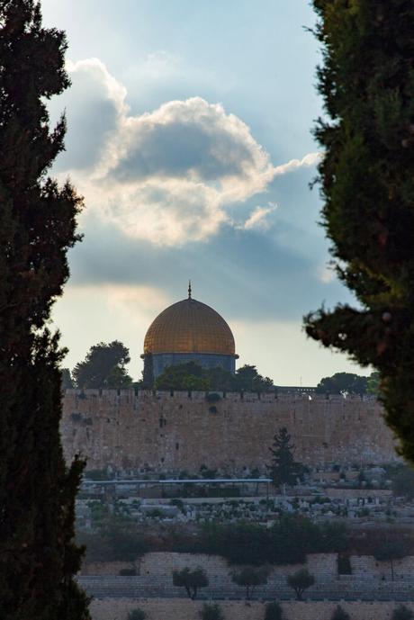 View of the Dome of the Rock in Jerusalem framed between two tall trees, with the golden dome glowing against a cloudy sky and the city’s ancient walls in the background.