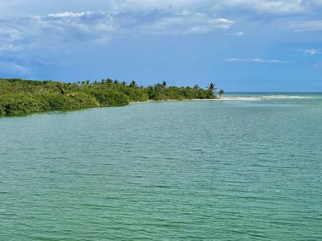 A serene coastal view in Quintana Roo, Mexico with calm greenish-blue water in the foreground, surrounded by lush green vegetation and palm trees. In the distance, there is a sandy shore stretching towards the horizon with a partly cloudy sky above.