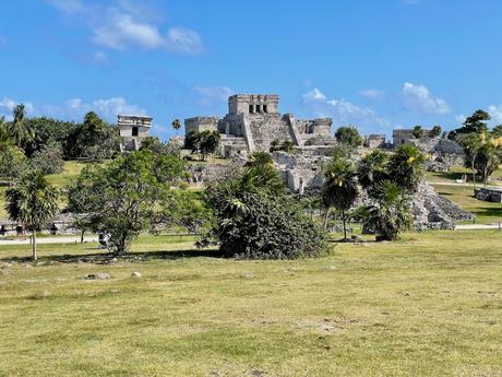 A wide-angle view of the Tulum ruins, showing ancient stone structures against a bright blue sky. The grassy foreground is dotted with palm trees, adding a touch of greenery to the historic site.