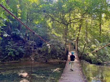 Alex Tiffany walks across a narrow hanging bridge in a dense jungle, with thick foliage and a small creek running below.