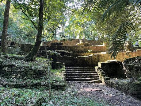 Ancient stone steps leading up to a series of ruined walls, partially covered by vines and surrounded by jungle.