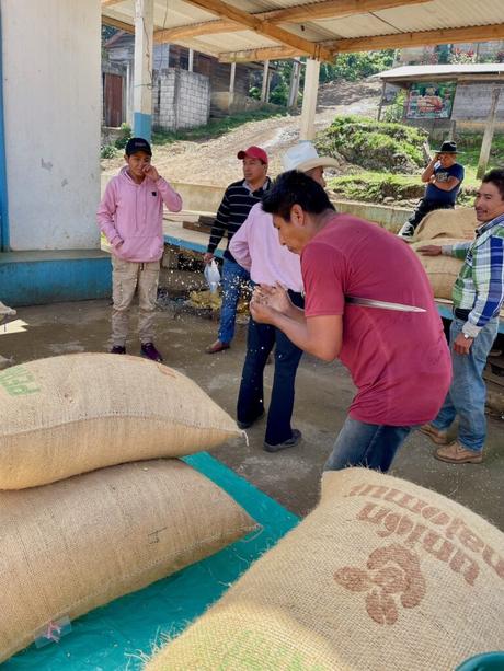 A group of men gathered around burlap sacks of coffee beans, one of them inspecting the beans. The setting is an outdoor area with a mix of activity and casual conversation.