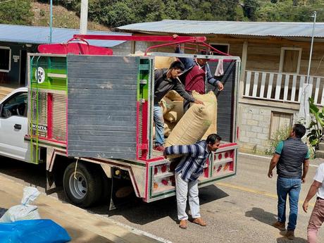 Several men loading large burlap sacks onto the back of a brightly painted truck parked on a rural street, with houses and trees in the background.