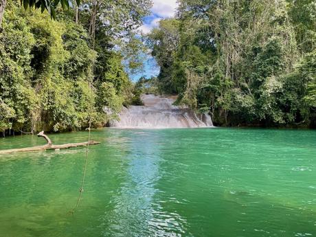 A lush, green scene with a small waterfall cascading into a vibrant, turquoise river, surrounded by thick forest and greenery.