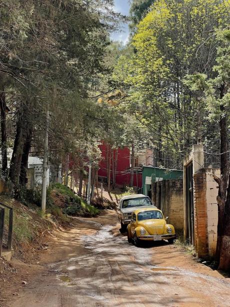 A quiet dirt road lined with tall trees and houses on the edge of San Cristobal de las Casas in Chiapas, Mexico. A yellow Volkswagen Beetle and an old pickup truck are parked on the side of the road, adding a rustic feel to the scene.