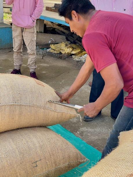 A man in a red shirt using a tool to open a large burlap sack filled with coffee beans, with other sacks and people standing around in the background.