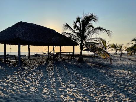 Silhouetted beach huts with thatched roofs and hammocks, framed by palm trees at sunset, casting long shadows across the sand.