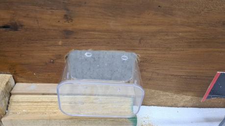 A Nativity diorama inside an antique steamer trunk (part 2, crafting the terrain) Making the landscape for our Christmas nativity diorama inside the steamer trunk: the electric wiring