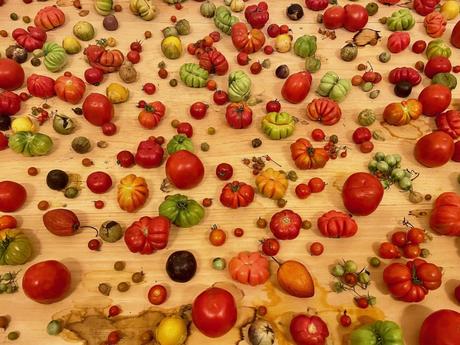 An artistic arrangement of tomatoes in various shapes, sizes, and colors scattered on a wooden table, showcasing their diversity in a vibrant display.