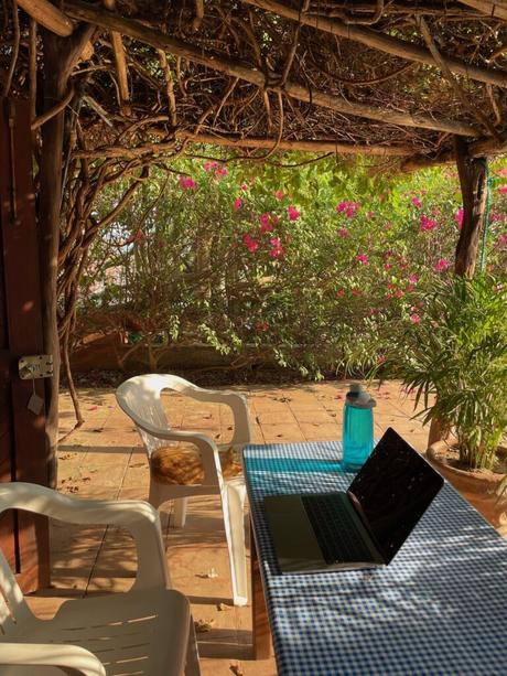 A cozy outdoor area with a table covered in a blue checkered tablecloth, a laptop, and chairs under a vine-covered pergola with pink flowers in the background.