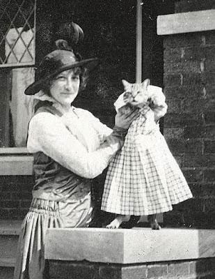 Friday 6th December - Hydrangeas Friday 6th December - Hydrangeas