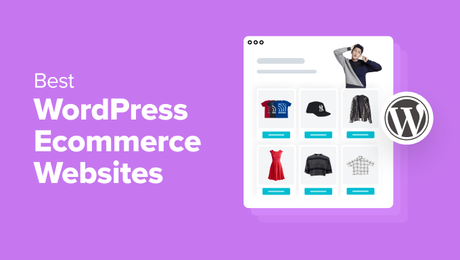 12 Best WordPress eCommerce Website Examples (+ Design Tips)