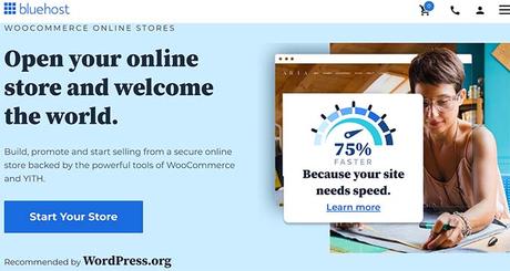 12 Best WordPress eCommerce Website Examples (+ Design Tips)