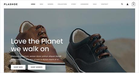 12 Best WordPress eCommerce Website Examples (+ Design Tips)