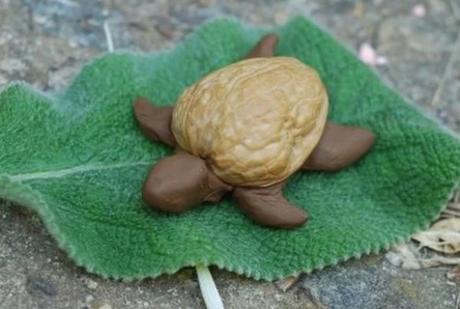 Turtles made with walnut shells