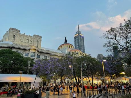 The iconic Palacio de Bellas Artes with its domed roof and jacaranda trees in bloom, surrounded by tents and people, with the Torre Latinoamericana in the background.