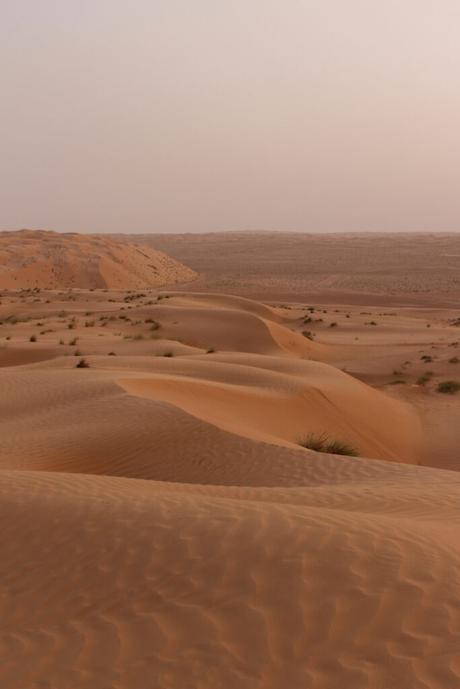 A portrait shot of endless, undulating sand dunes in Oman’s desert, with small patches of vegetation and a soft, hazy sky overhead.