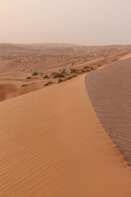 A rolling sand dune in Oman’s desert, with gentle curves and wind patterns visible on the smooth sand.