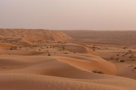 A wide view of endless, undulating sand dunes in Oman’s desert, with small patches of vegetation and a soft, hazy sky overhead.