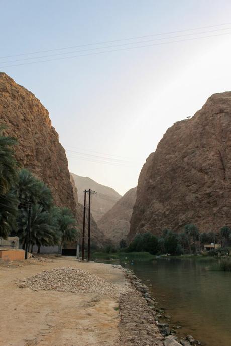 A serene, narrow gorge in Oman, framed by towering rocky cliffs, with a palm tree oasis and calm water at the base.