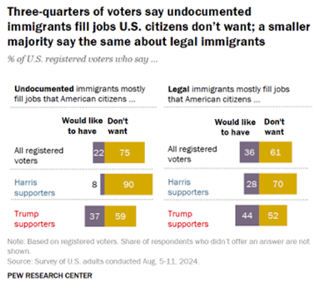 11 Interesting Things We Learned In 2024