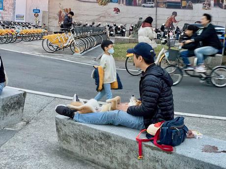 A man wearing a dark jacket and cap sitting on a bench with his dog laying on its back, looking relaxed, as bicycles and people pass by in the background.