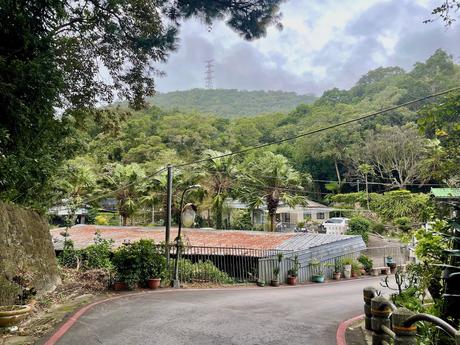 A scenic village road framed by tropical trees and foliage, leading to a cluster of homes with red-tiled roofs, set against a backdrop of forested hills.