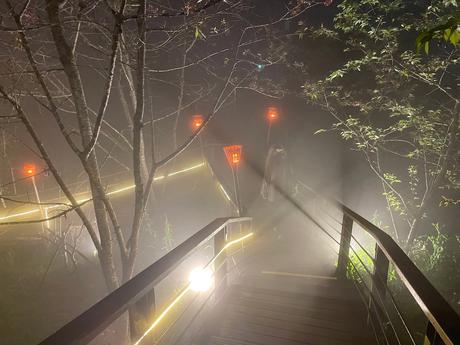 A wooden pathway lit by warm lanterns and lined with trees shrouded in mist, evoking a magical, dreamlike setting.