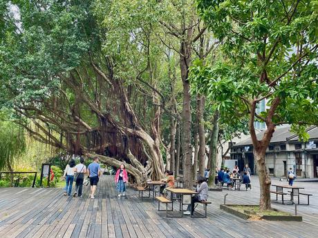 A tranquil park with a large, sprawling banyan tree and wooden boardwalk. People are walking and sitting at picnic tables beneath the canopy of lush greenery.